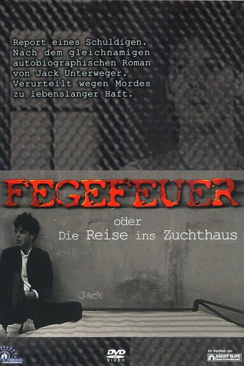 Poster of Fegefeuer