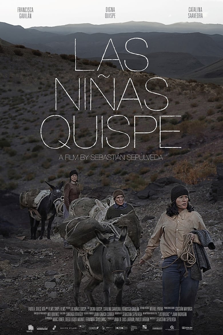 Poster of The Quispe Girls