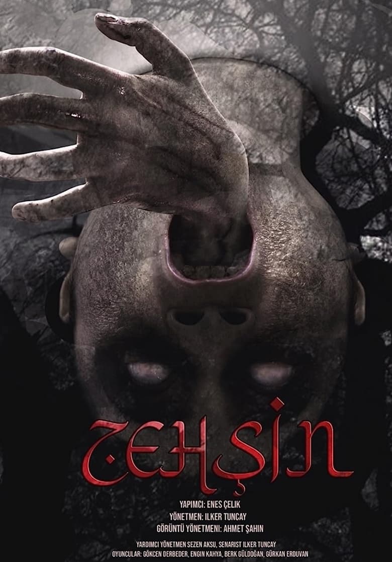 Poster of Zehşin Cin-i Musallat