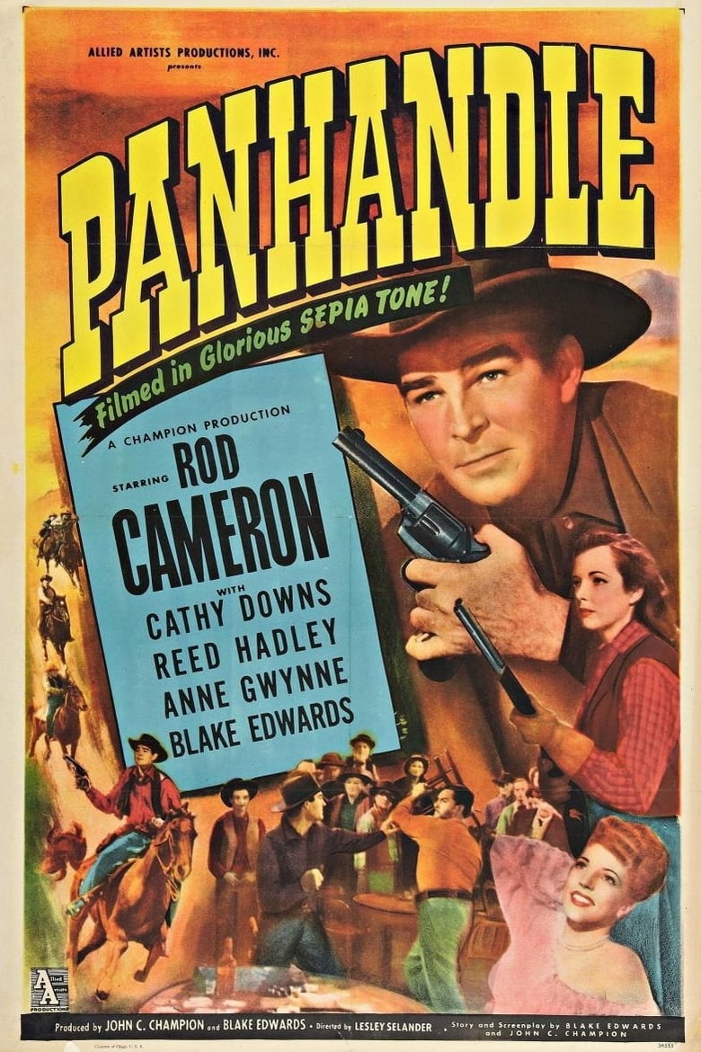 Poster of Panhandle