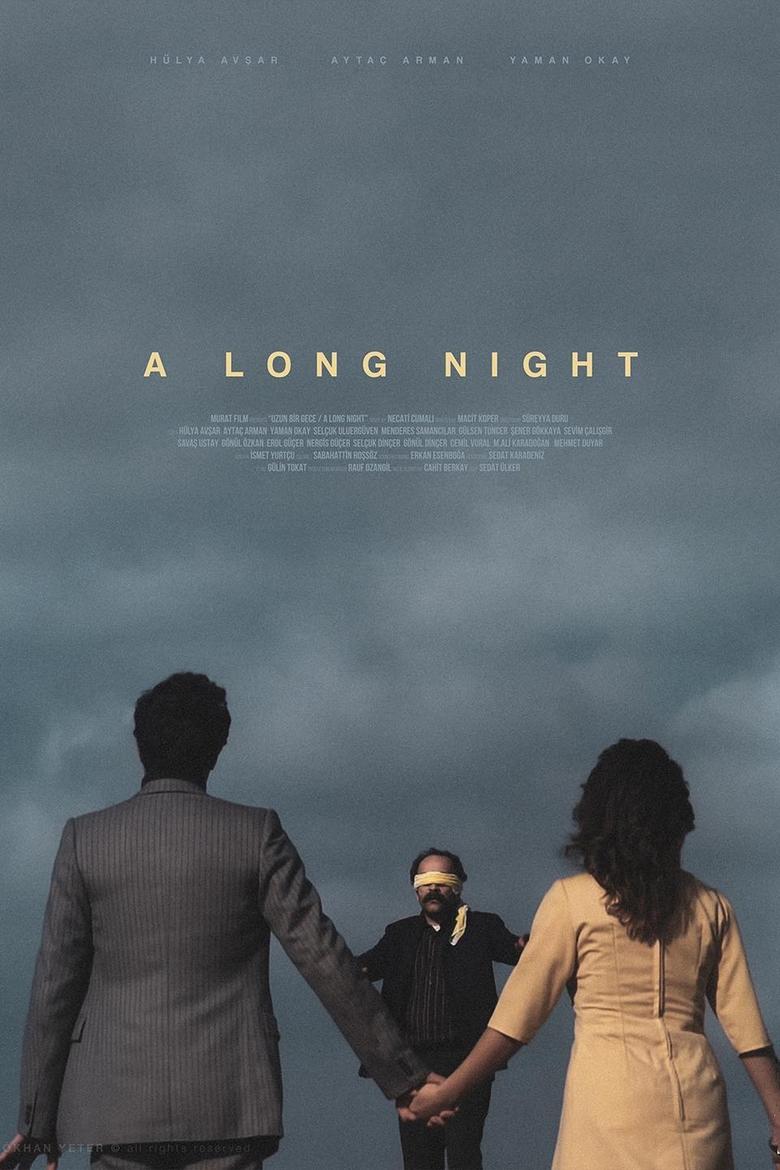 Poster of A Long Night