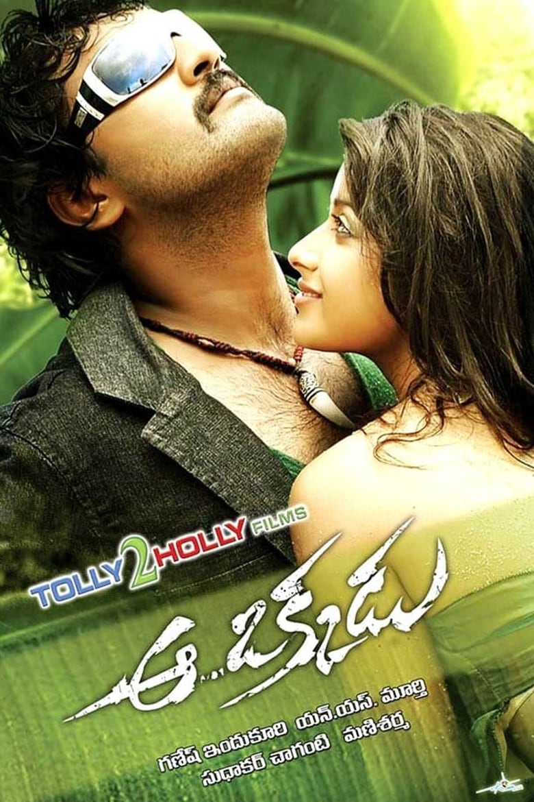 Poster of Aa Okkadu