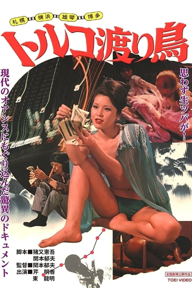 Poster of Hakata: Toruko wataridori