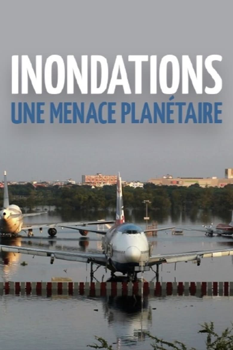 Poster of Inondations : une menace planétaire