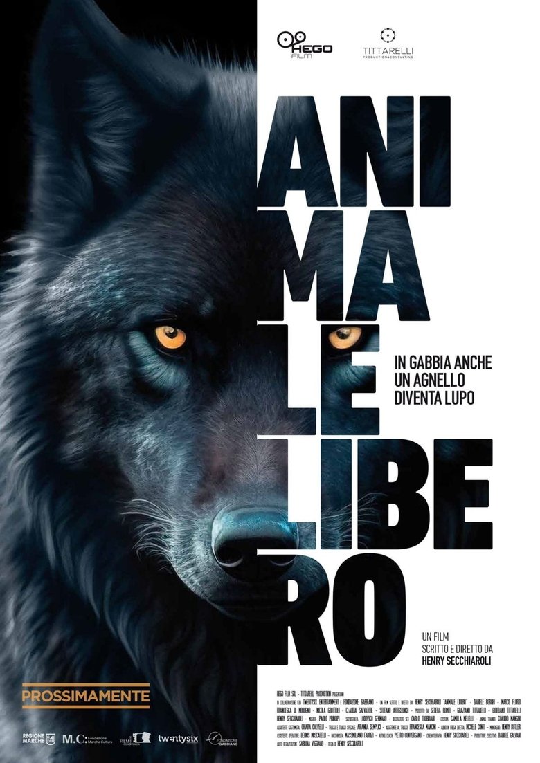 Poster of Animale libero