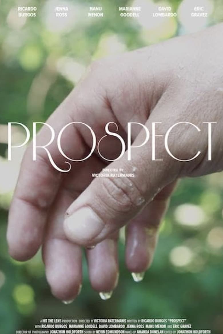 Poster of Prospect