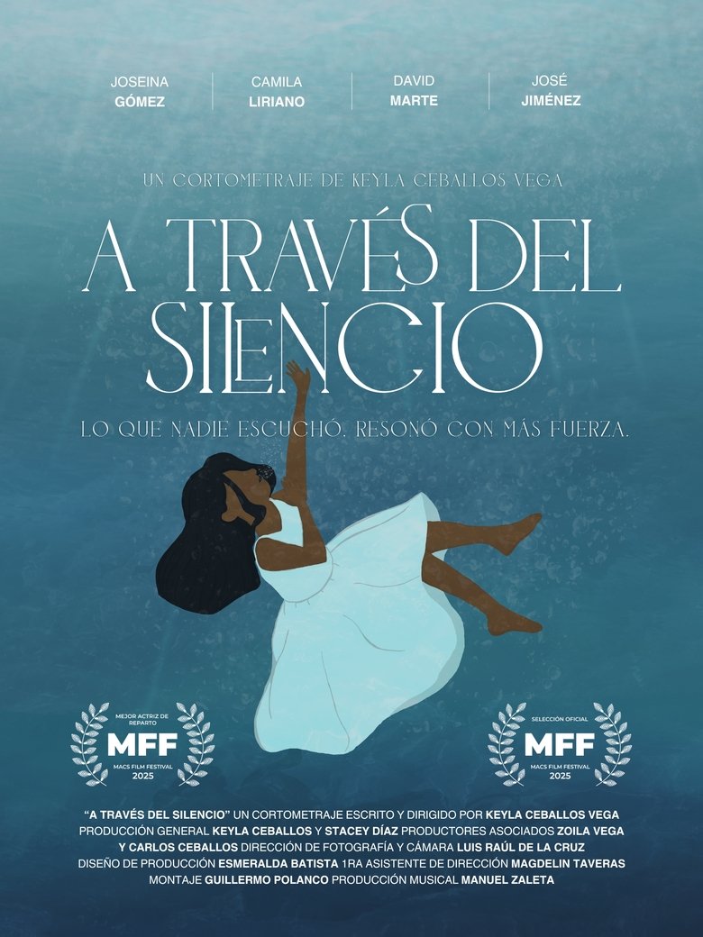 Poster of Through the Silence.