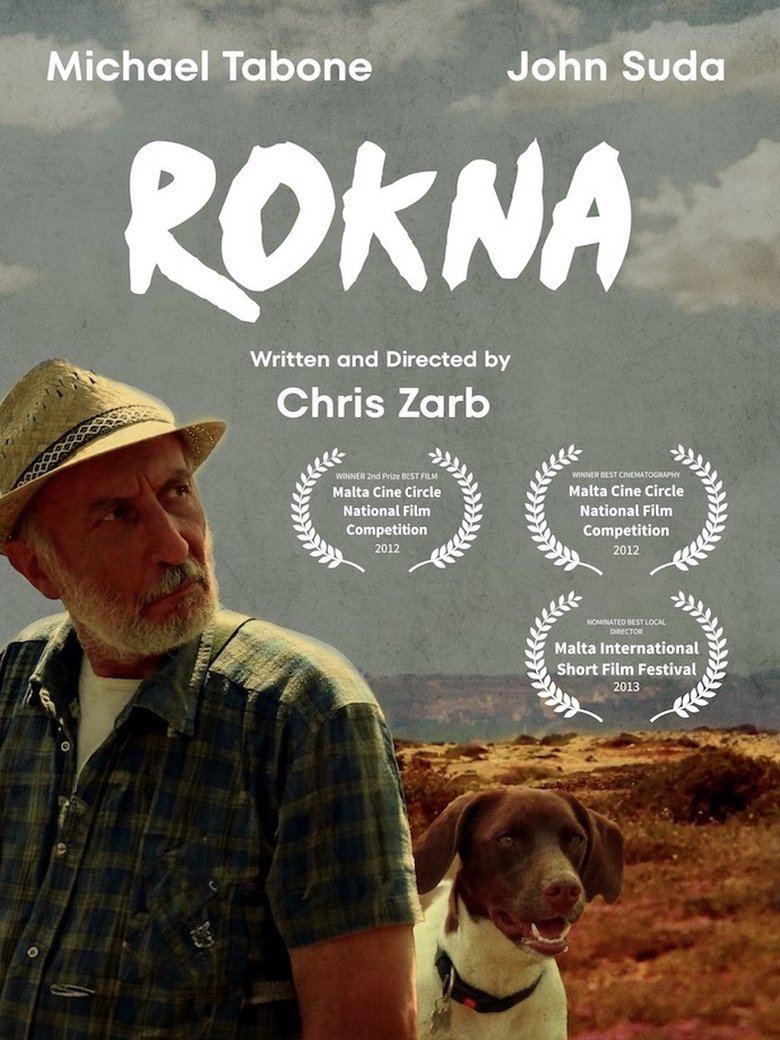 Poster of Rokna