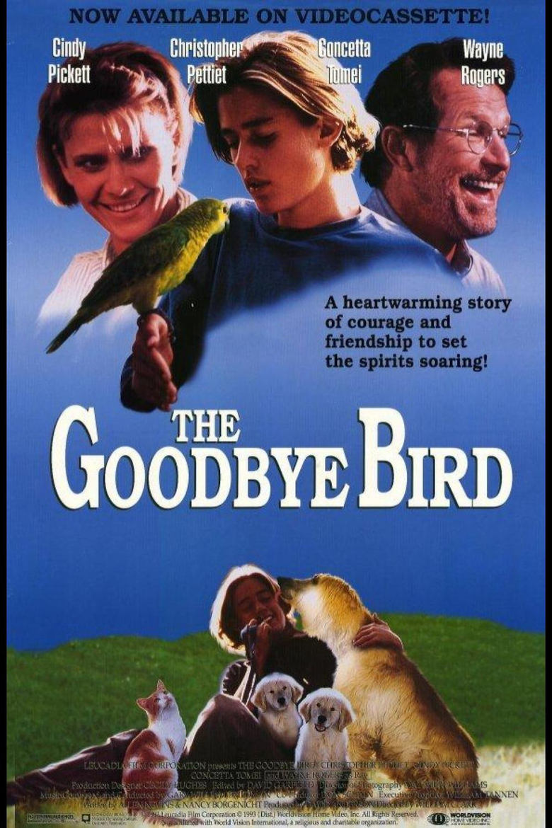 Poster of The Goodbye Bird