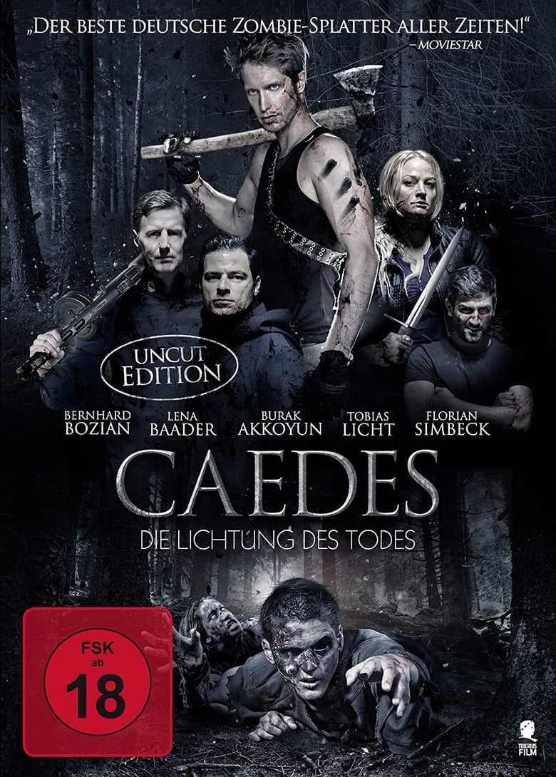 Poster of Caedes