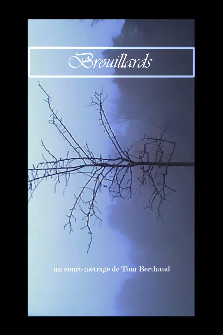 Poster of Brouillards