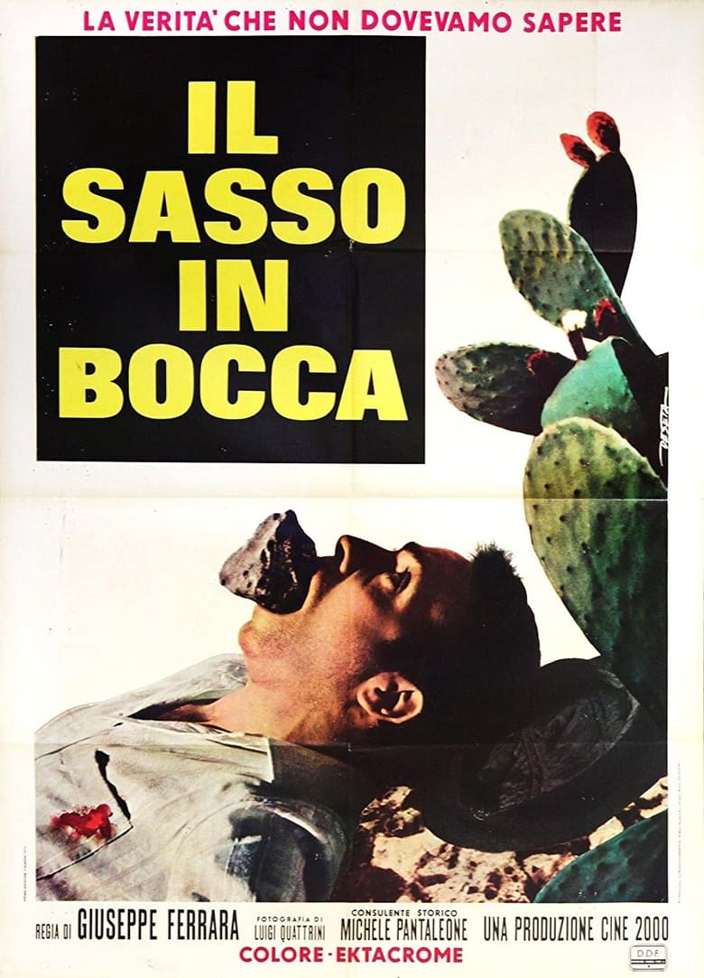 Poster of Il sasso in bocca