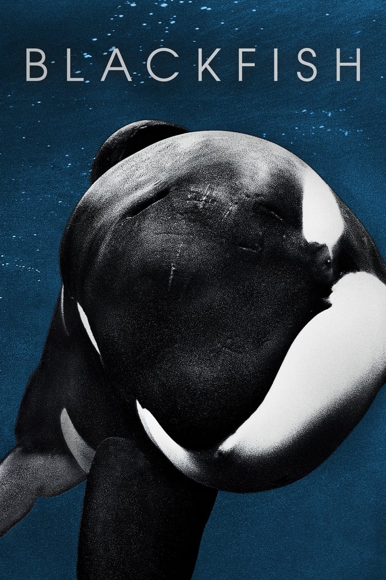 Poster of Blackfish