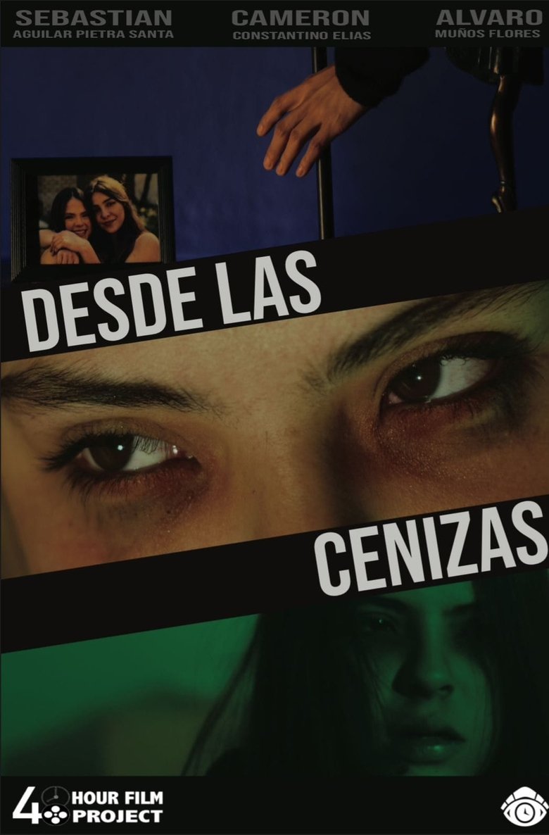Poster of From the Ashes