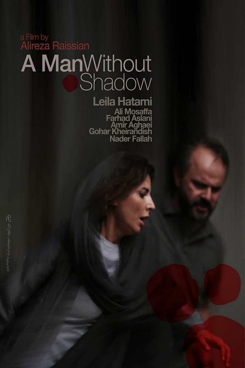 Poster of A Man without a Shadow