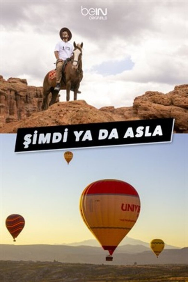 Poster of Şimdi Ya Da Asla