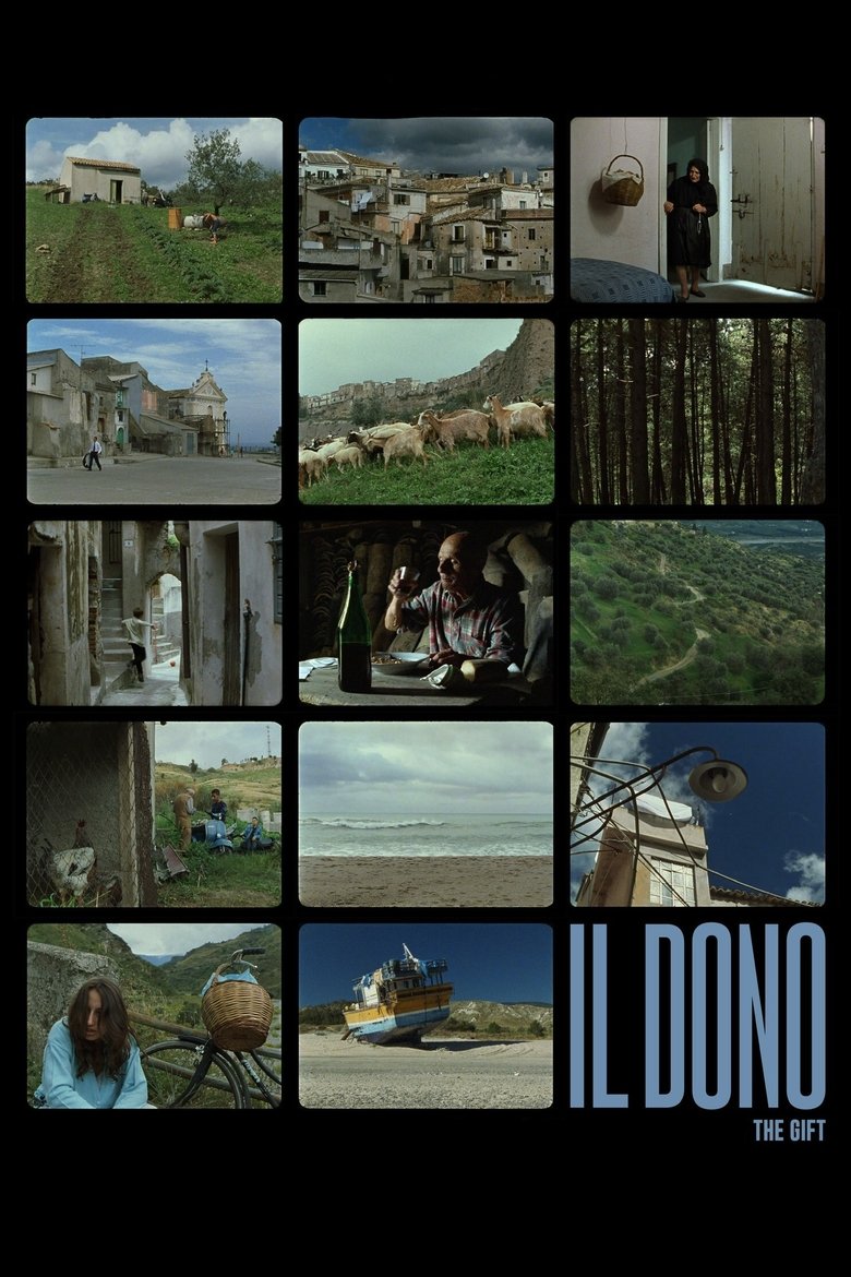 Poster of The Gift
