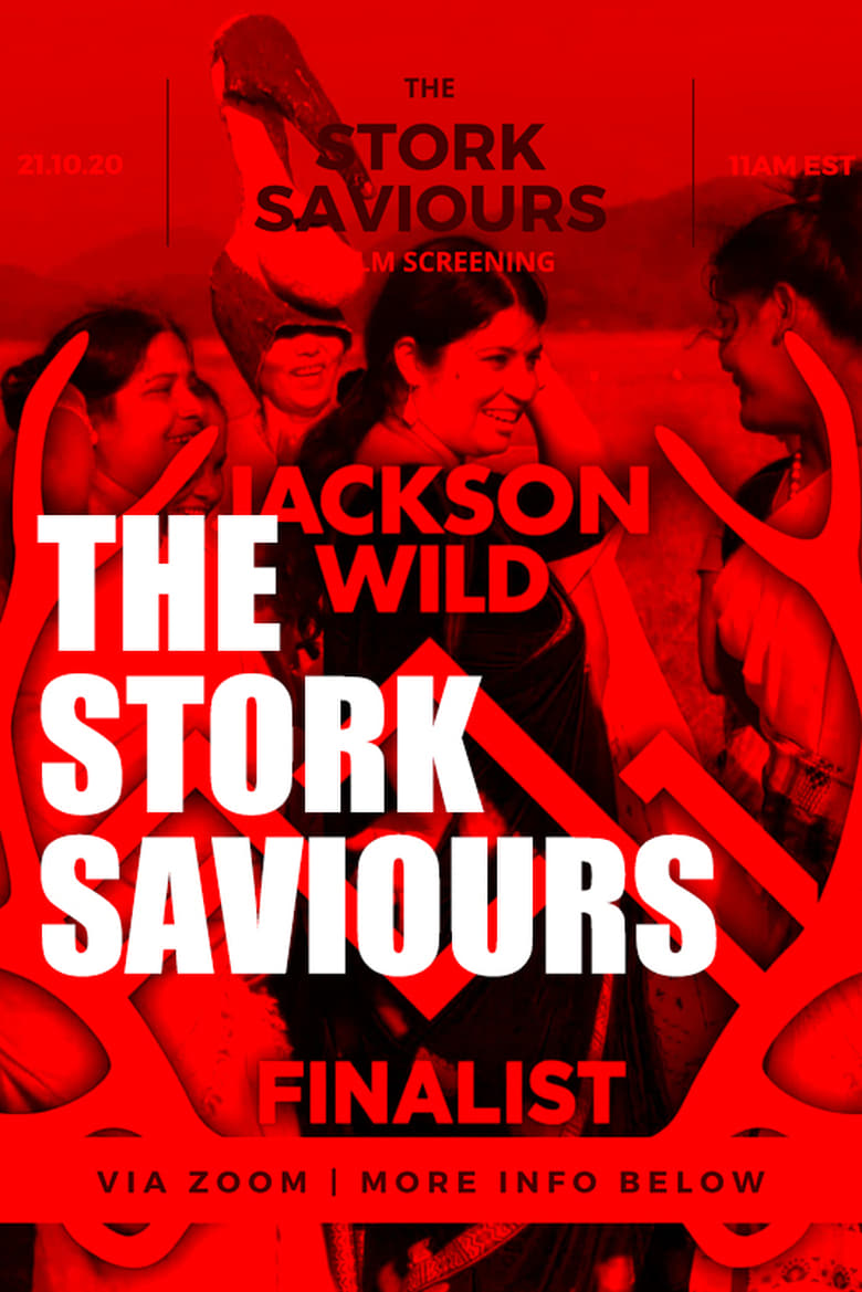 Poster of The Stork Saviours