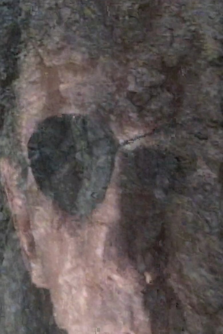 Poster of Ithaca