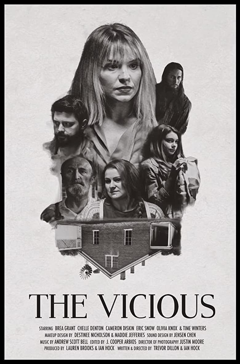 Poster of The Vicious