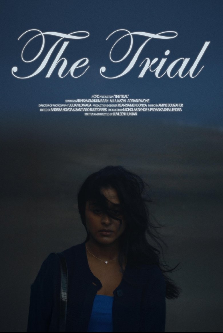 Poster of The Trial