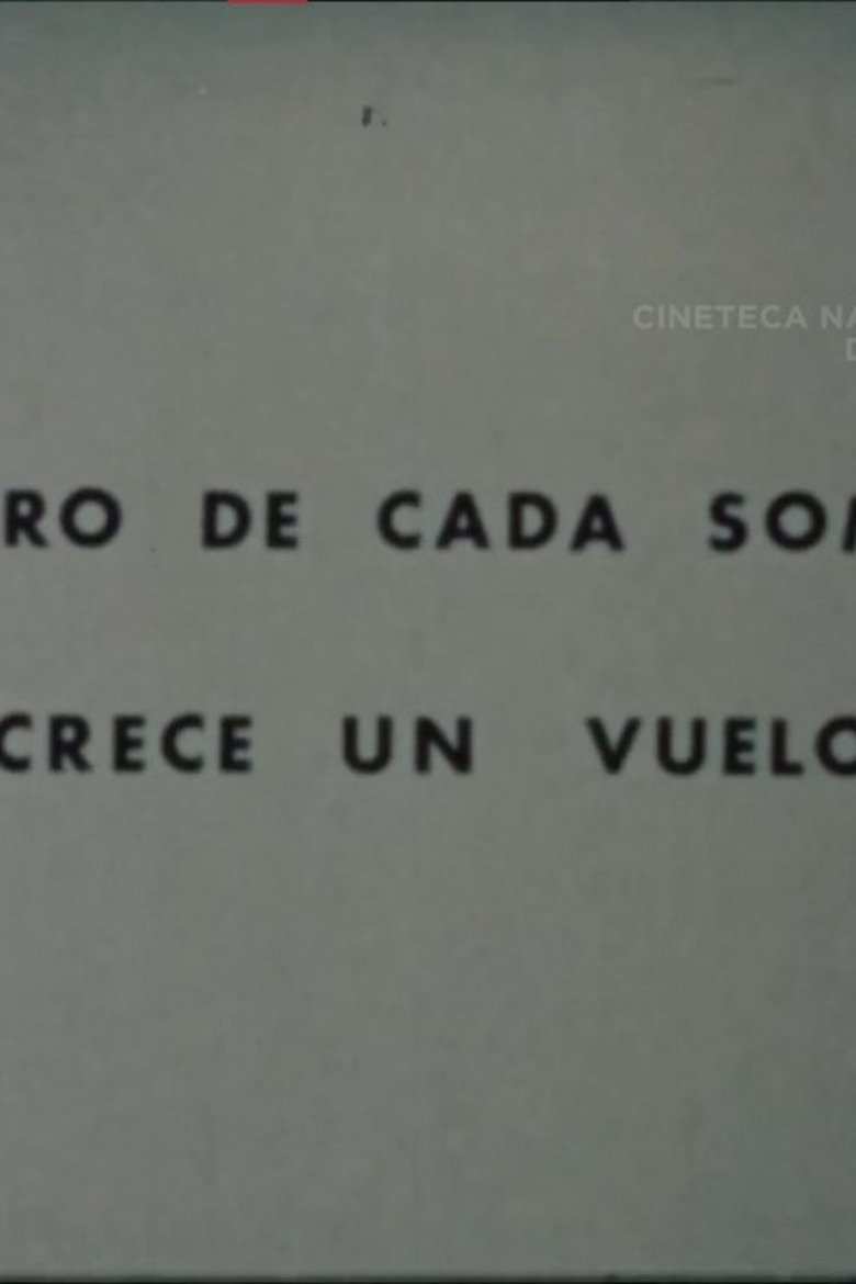 Poster of Dentro de Cada Sombra Crece un Vuelo