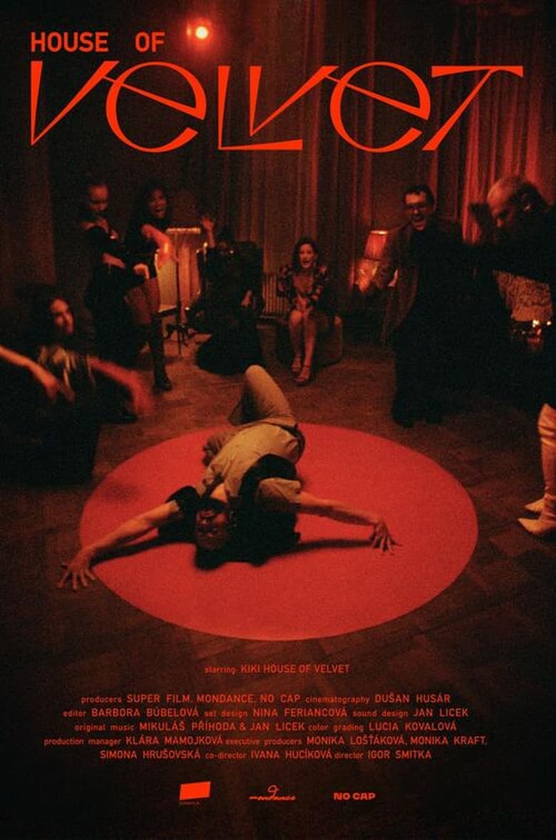 Poster of House of Velvet