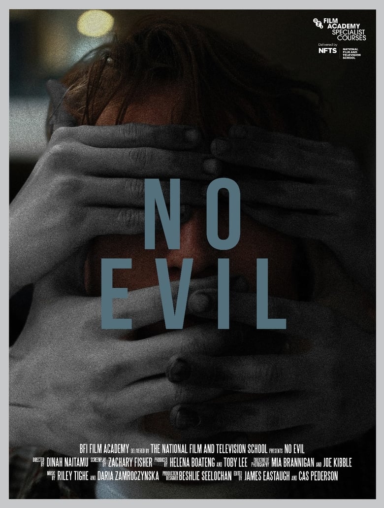 Poster of No Evil