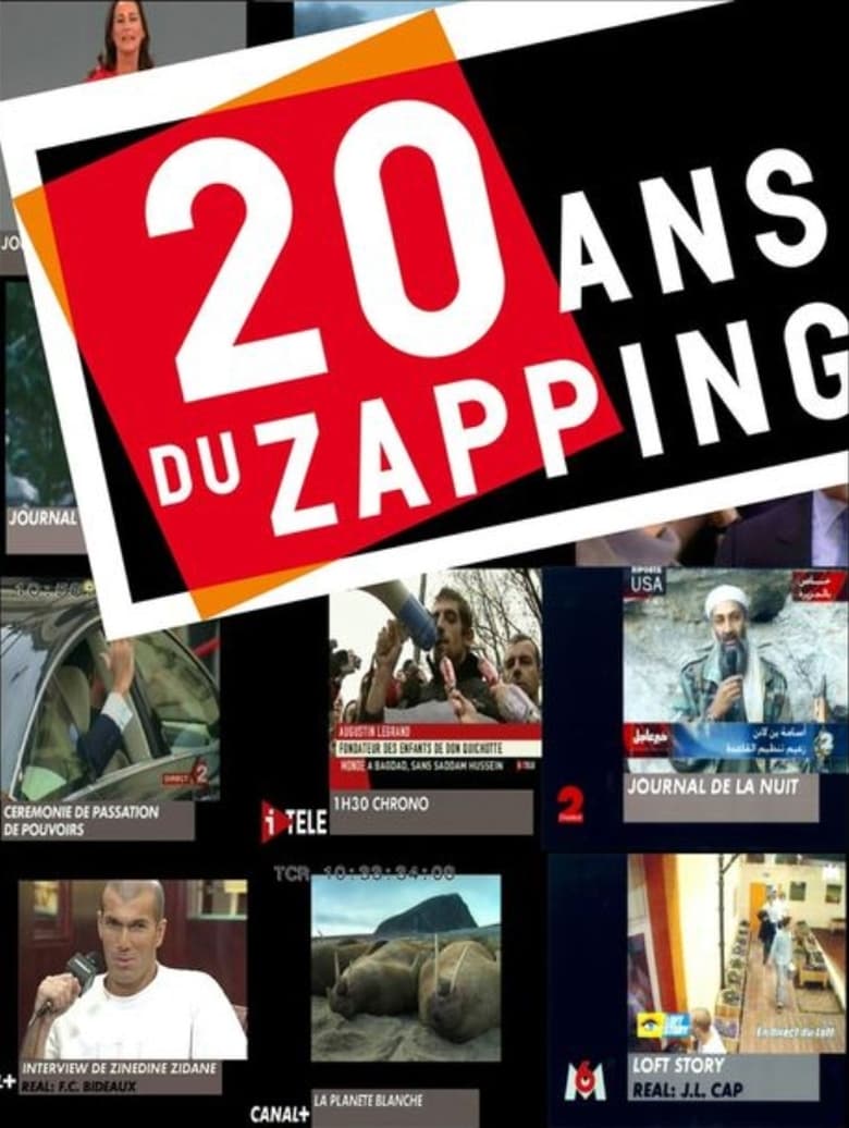 Poster of Les 20 ans du Zapping : 1989-2009