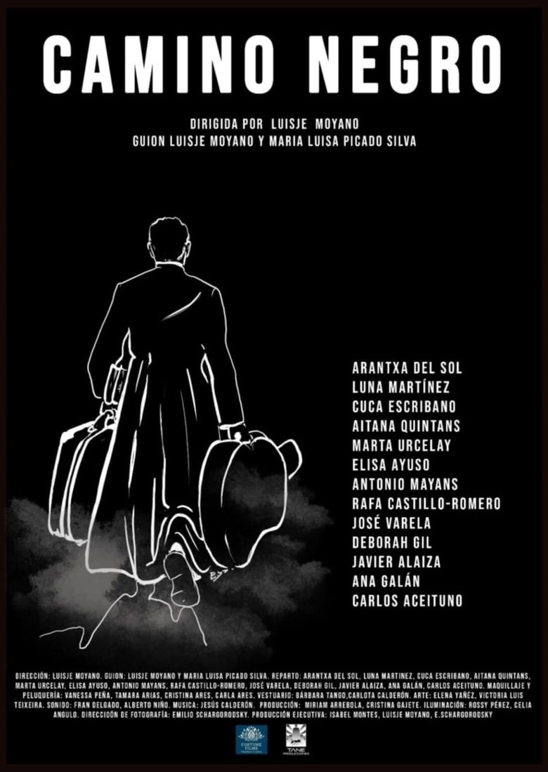 Poster of Camino negro