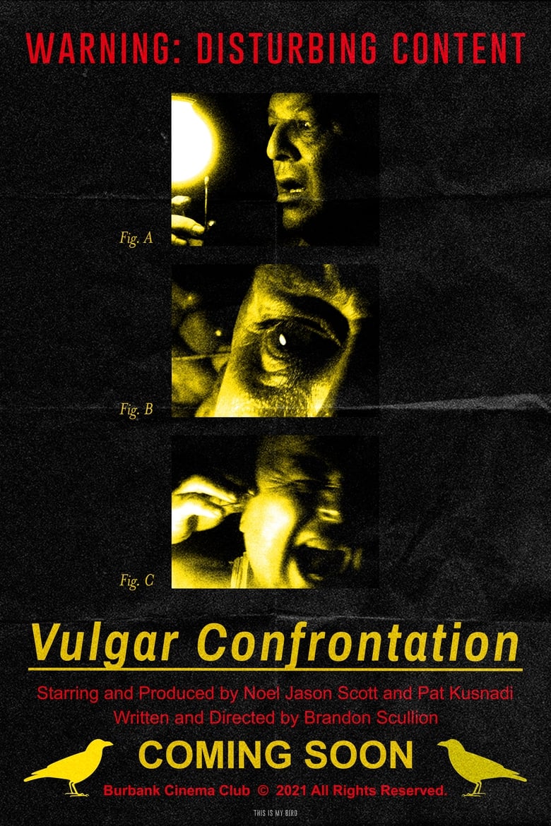 Poster of Vulgar Confrontation