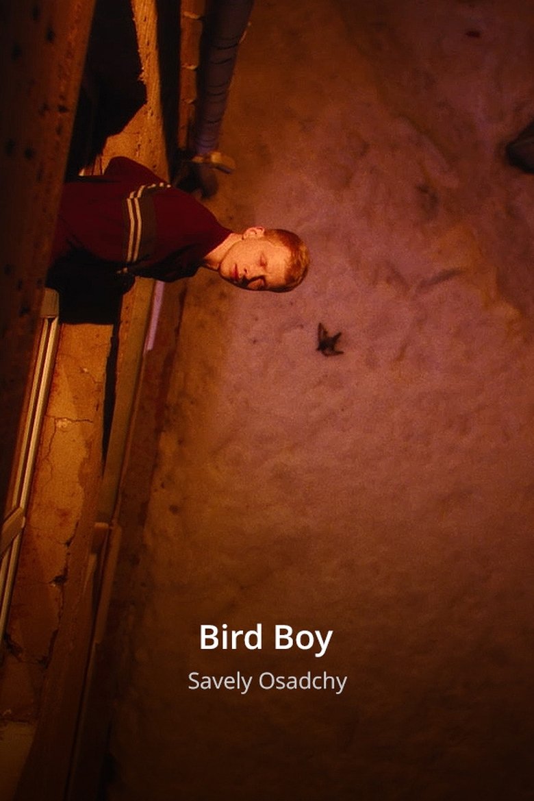 Poster of The Bird Boy