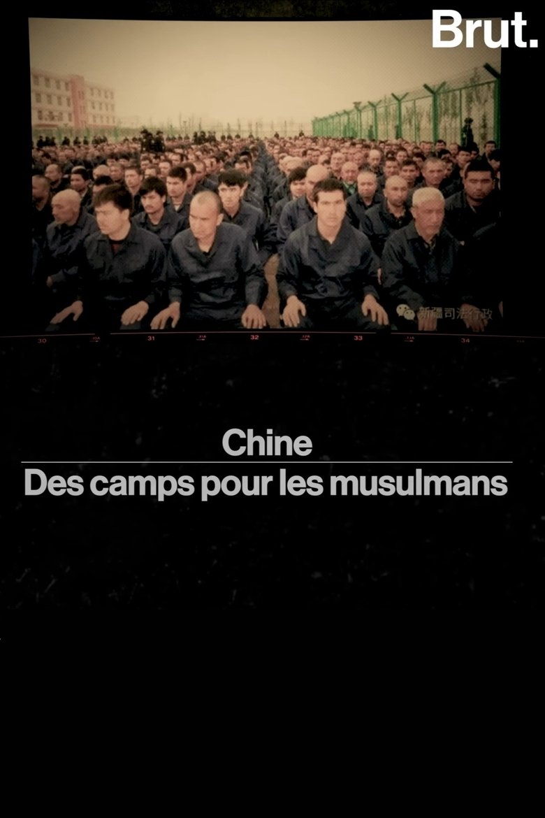 Poster of chine——des camps pour les musulmans