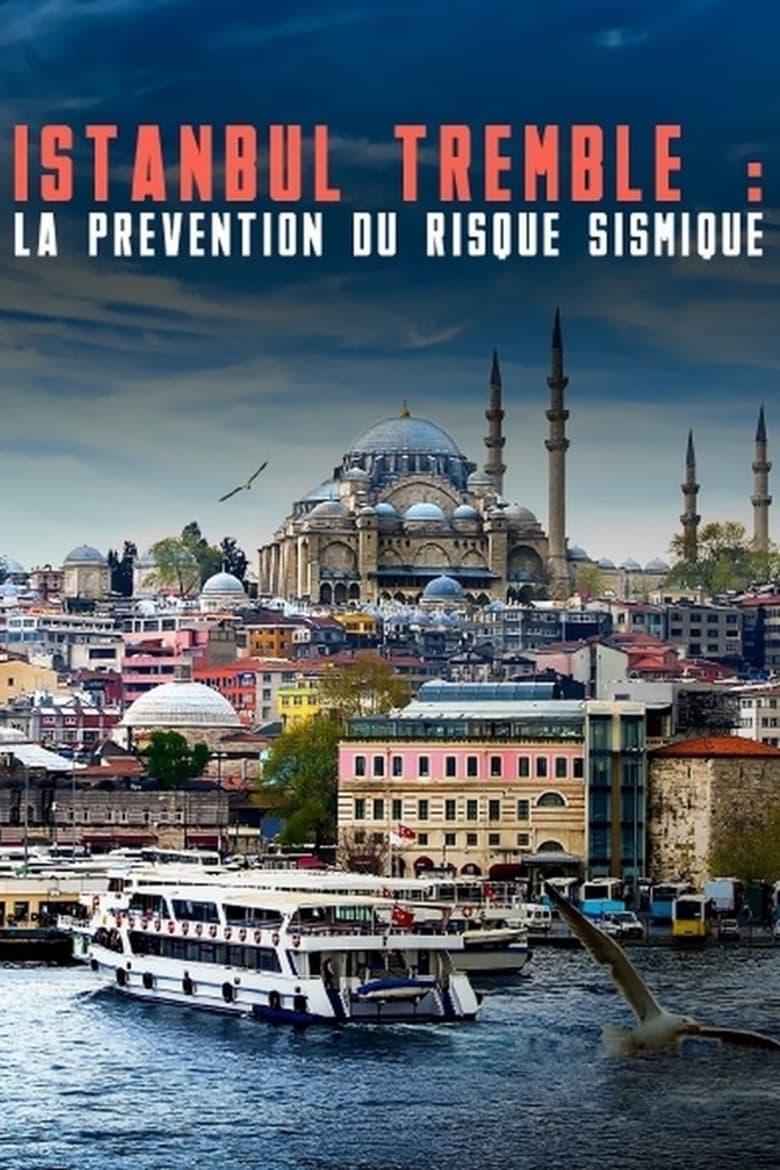 Poster of Istanbul tremble : La prévention du risque sismique