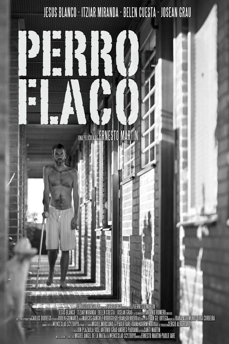 Poster of Perro flaco