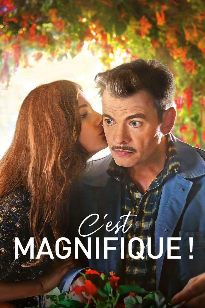 Poster of C'est magnifique !