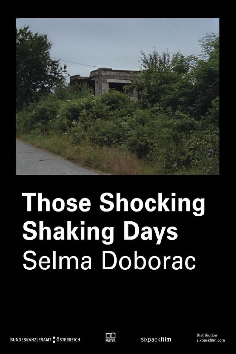 Poster of Those Shocking Shaking Days