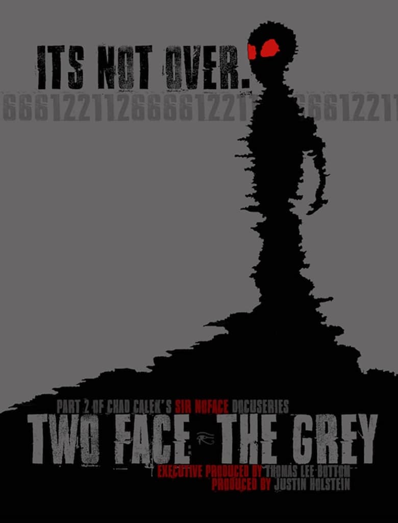 Poster of Two Face: The Grey