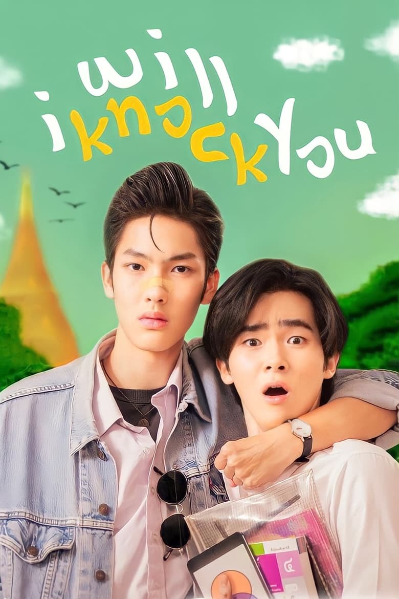 Poster of I Will Knock You