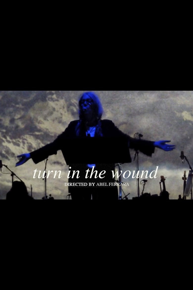Poster of Turn in the Wound