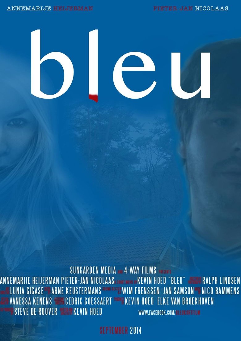 Poster of Bleu