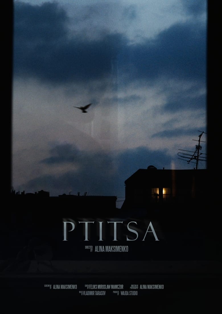 Poster of Ptitsa