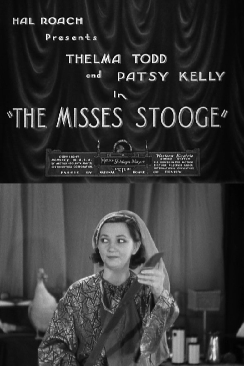 Poster of The Misses Stooge