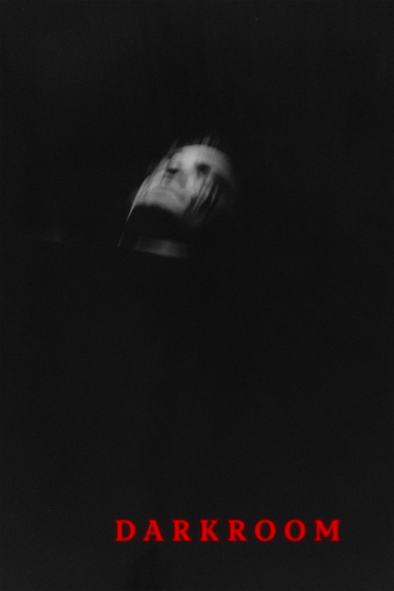Poster of Darkroom