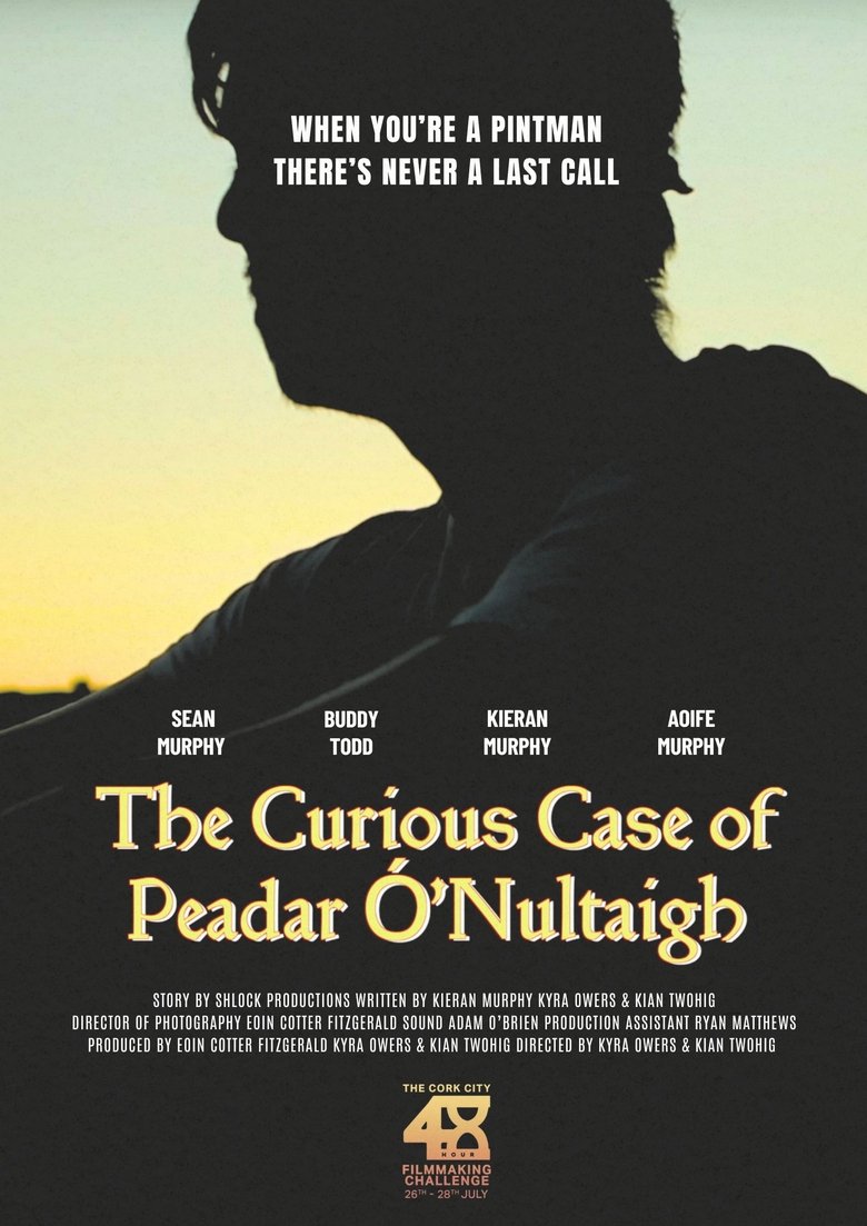 Poster of The Curious Case Of Peadar Ó'Nultaigh