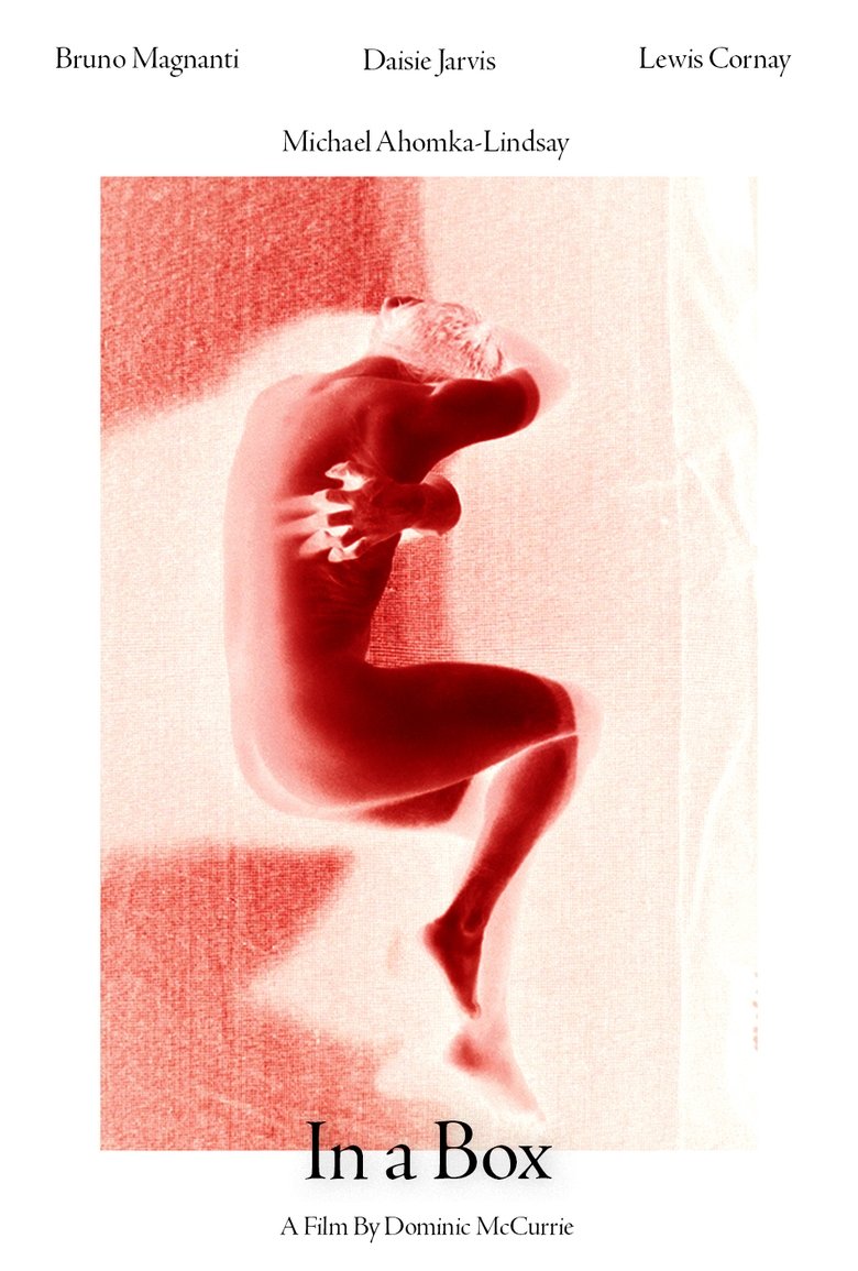 Poster of In A Box