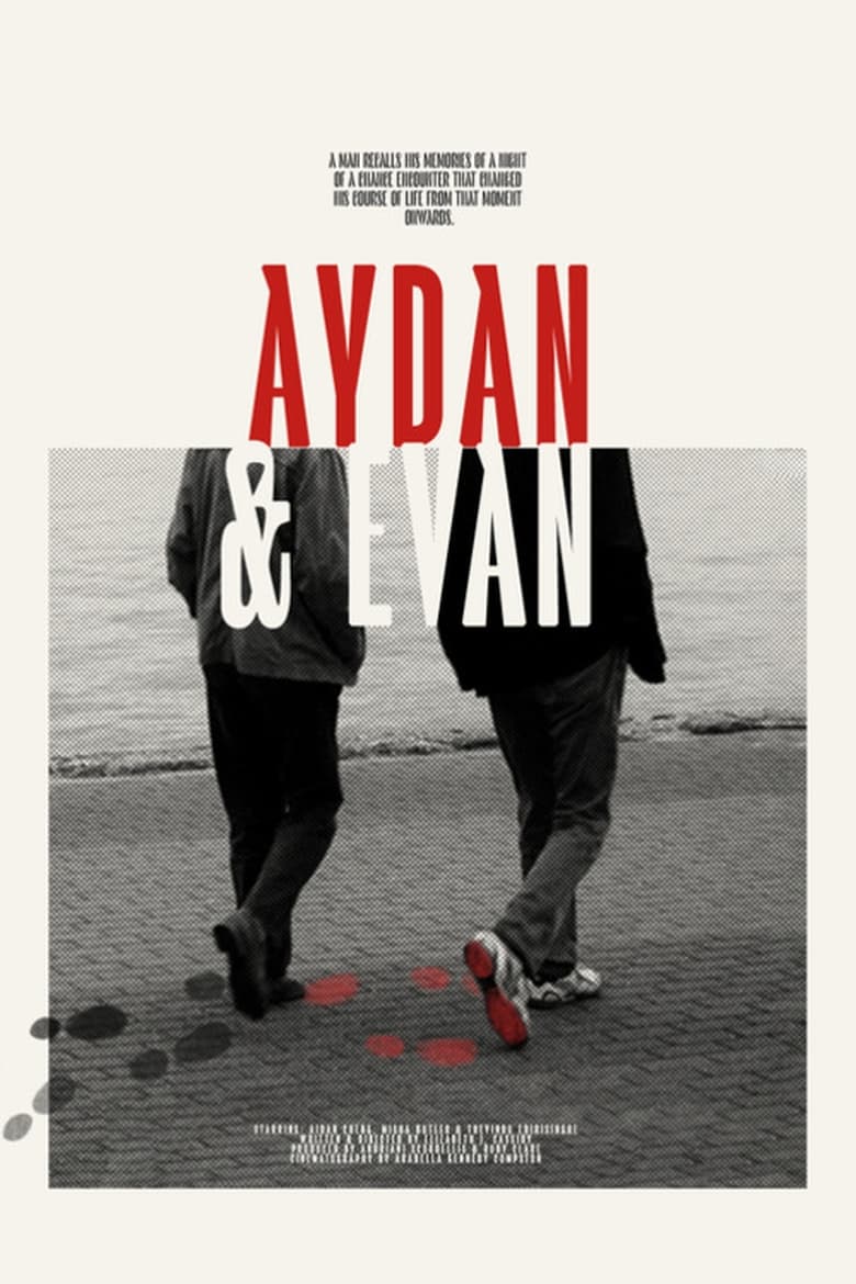 Poster of Aydan & Evan