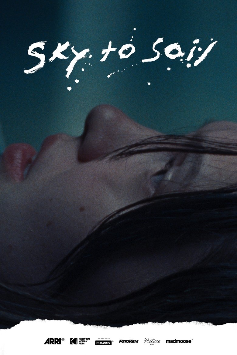 Poster of Sky to Soil