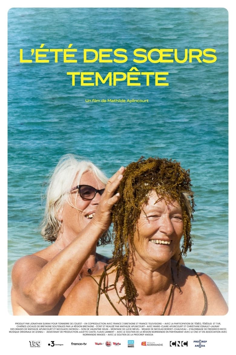 Poster of L'été des sœurs Tempête