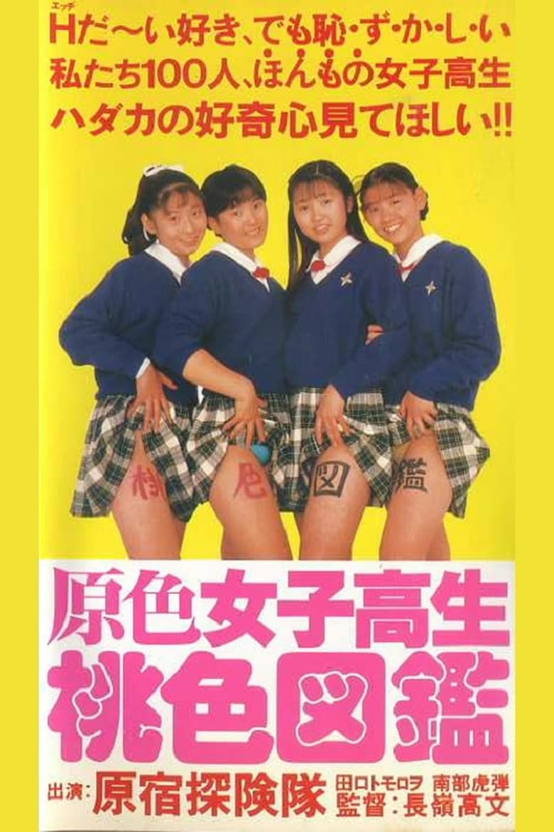 Poster of Primary Colour High School Girl Pink Picture Book